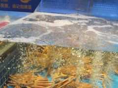-徐记海鲜(大明宫|北二环店)