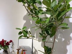 -花辰月夕花坊(北滨路店)