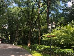 -上海虹桥迎宾馆