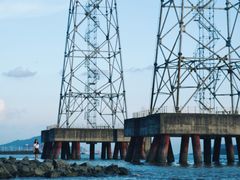 -宝安西湾红树林湿地公园