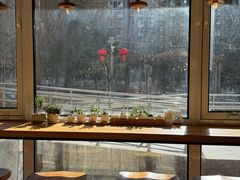-Cafe Villa