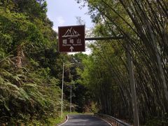 -广州市帽峰山景区