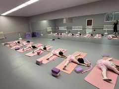 -蒲公英舞蹈艺术中心(促进路校区)