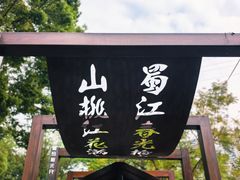 -重庆彩云湖湿地公园
