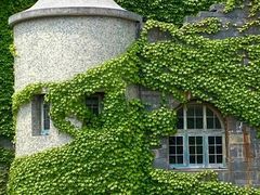 -得丘礼享谷·玉兰苑