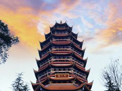 -铁山坪森林公园