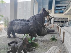 -中国第四纪冰川遗迹陈列馆