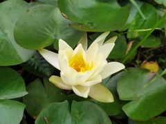 -白塘生态植物园
