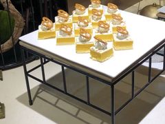-凤翔首邑温泉度假村