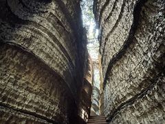 -梭布垭石林景区