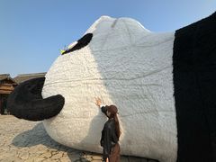 -苏州太湖国家湿地公园