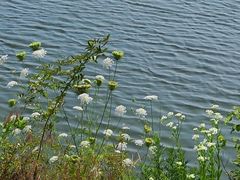 -盘龙城国家考古遗址公园