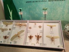 -烟台市博物馆