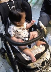 -酷嗒动物文化乐园(cutezoo西溪乐天城店)