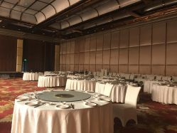 点击看大图 -中茵皇冠假日酒店·宴会厅
