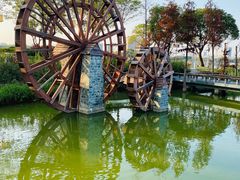 -顺峰山公园