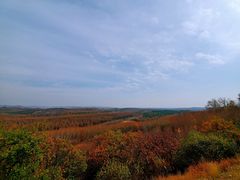 -塞罕坝国家级自然保护区