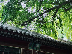 -潭柘寺景区