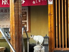 -大江户·温泉洗浴(浑南店)