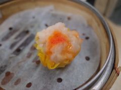-新志兴至尊烧鹅大王