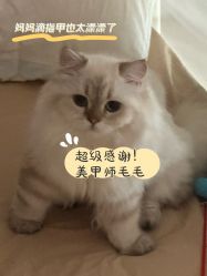 -MOMO·Nail美甲美睫