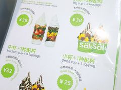 菜单-Salud撒露欧洲冻酸奶(蓝色港湾店)