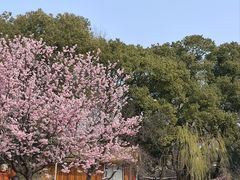-无锡梅园公园