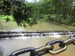 -田野绿世界