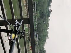-王借岗森林公园