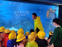 -烟台海昌鲸鲨海洋公园