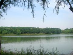 -昆山城市生态森林公园