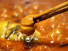 -易门野生菌府·菌海森林(月牙潭公园店)