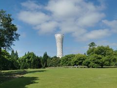 -上海滨江森林公园