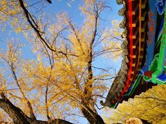 -满都海公园