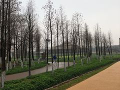 -乌村