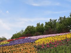 -沈阳植物园