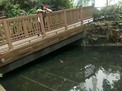 -香港大学