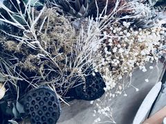 -北马山庄植趣咖啡