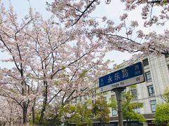 -永乐路-路侧停车场