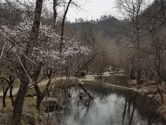 -玉渡山自然风景区