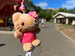 -钻石头山