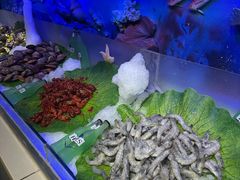 -比尔森韩式烤肉自助(国商店)
