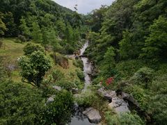 -云溪植物园