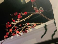 -春天来了(印象新天地店)