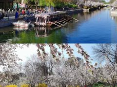 -元大都城垣遗址公园