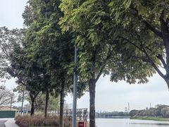 -海珠湖公园