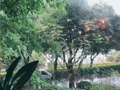 -时光花园(白鹭洲店)