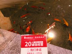 -新沸腾鱼乡(世贸天阶店)