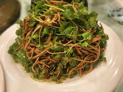 -大鹅岛绿色生态美食园