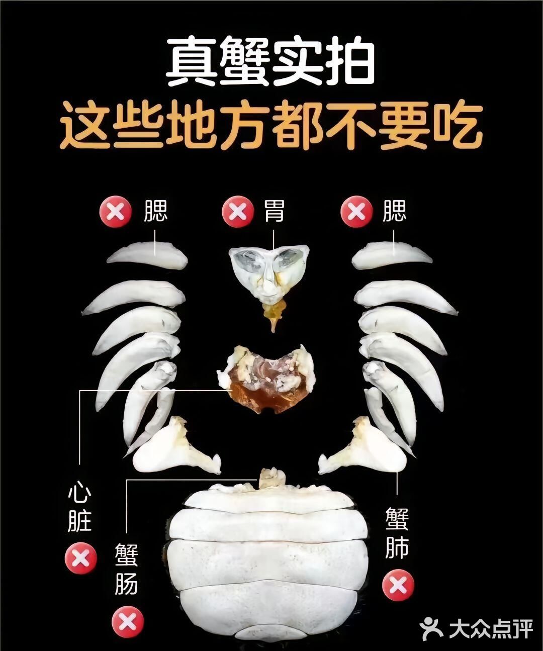 🐚🥢螃蟹大揭秘：手把手教你轻松拆螃蟹